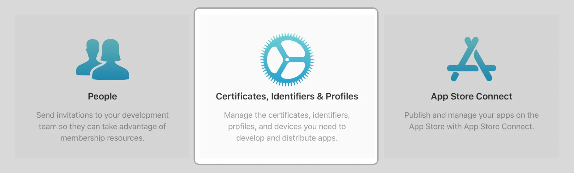 Apple Developer Console Image